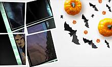 Halloween Party Fun Between Friends