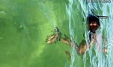 I followed this lady at the beach and she ended up fucking me 😏