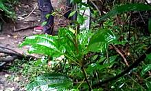 Guys having wild orgy in the forest