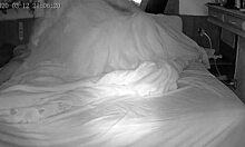 bbb carinho na bucetinha