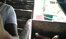 Nothing Beats Wild Sex Challenges in Neighbor's Tank