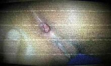 licking my brunette's shaved pussy and ass with toys, big cock fun 😘