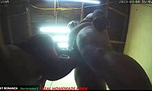 marianna on knees, tits out, sucks my cock and swallows cum