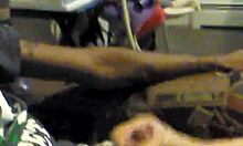 Amateur handjob on cigar chair