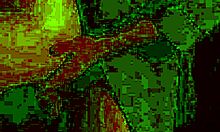 Stepdaddy Punishes Stepdaughter and Friend in Horny POV Doggystyle