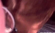 Welcome to the bold new swinger life adventure