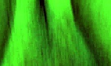 Brazilian couple explores naughty adventures in part ten with young ant.