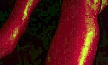 noche de modelo with tits massage and ass play