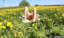 Vira Gold gives casual blowjob to stranger Ananta Shakti outdoors