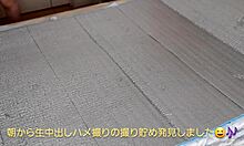 Amateur Wife Craves Creampie In Morning Sex