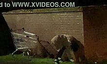 Cracky Gets Fucked Hard In Her Natural Outdoor Habitat