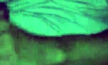 Fui na Praia for Gangbang but Only One Showed Up for Dogging