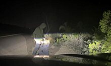 public encounter with blonde wife on the roadside