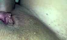 tatylu passionate encounter