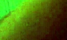 Pretty teen amateur shows off her tight wet pussy to her gay friend.