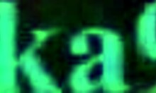 Have you seen Amane Kanata and Kiryu Coco in wild hentai sex?