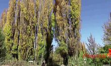 vlog trip south argentina ends hard sex tour guide