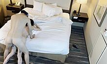 fucking that petite 18+ tattooed beauty's tight pussy doggystyle so rough 😈