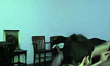 Gay Amateur Blowjob Homemade With Monster Cock