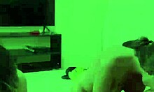 wild group banging down in florianópolis