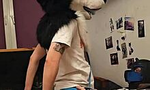 I’m a femboy in husky fursuit, cumming hard riding my boyfriend.
