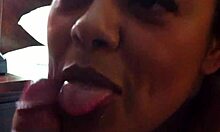 homemade latina blowjob in hotel room