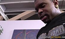 tiffany doll takes double penetration from black guys