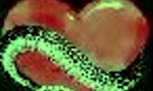 Uh, got this pregnant latina ridin’ me in bedroom, ya know, homemade stuff!