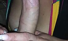 Girlfriend Delivers Great Blowjob with Luscious Lips