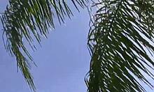 at the party, these teen amateurs get hardcore fucking outdoors in high definition