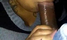 The Homegirl Displays Her Mad Skills Swallowing Cock