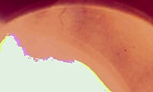 Intimate Amateur Sex with Cumshot