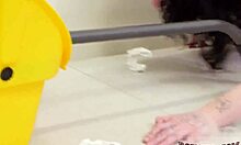 In this extreme case file B scissoring while bound in bondage