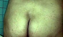 Cago reunites with his tomatodo again inside