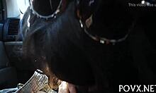 Sadine Godiva's POV Fucking And Blowjob