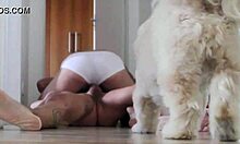 Watch Andremedeiros Martins in Intense Gay Action!