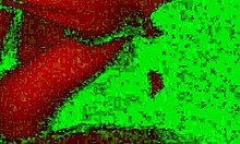 S01E07 Rough Amateur Couple Fucks With Pervert Intensity