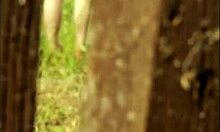 summer days are voyeur season