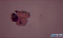 I bang a Japanese chick in sexy stockings vol 33! 😍