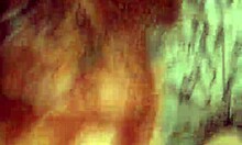 Young brunette stepsister loves doggystyle action