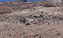 Davcina feels deep emotion in tinder blowjob on tenerife