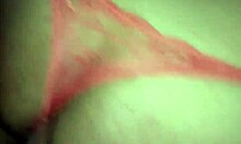 cojida with intense assfucking and anal sex