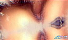 Japanese Amateur Babes Performing Blowjobs In Compilation Volume Two