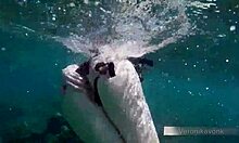 German Teen Veronikavonk's Beach Day Adventure