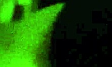 Watch this huge BBC monster cock give JOI instructions for jerking off to cumshot