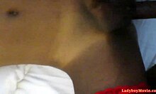 Ever tried homemade fun with ladyboy Jazzi?