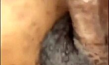 Haitian beauty rosa p sucks monster cock, gets facial on tits