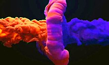 Apostei com Vizinho e Meu Cu Gozou no Hotel