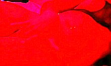 18-year-old brunette masturbates endlessly to orgasm