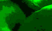 bbw venezolana in hotel room 1